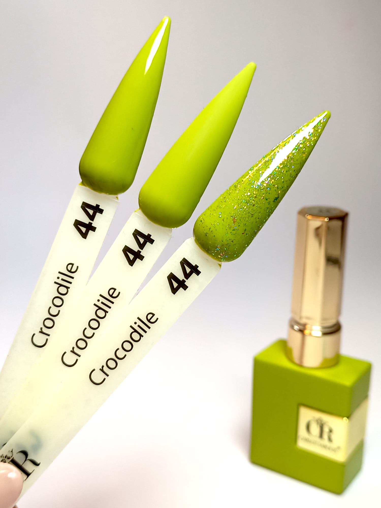 Crocodile 44